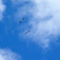 060924-clouds-033