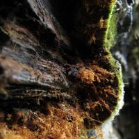 070812-KakabekaFalls-046