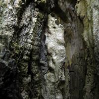 071014-DevilTrackRiver-043