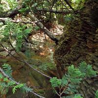 071014-DevilTrackRiver-053
