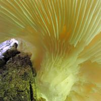 071014-DevilTrackRiver-067