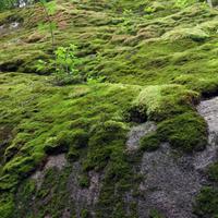 0712-071613-NorthShoreHiking-077