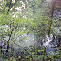 0728-080407-highwindlakecamp-TLR-020