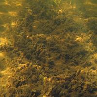 0807-081410-highwindlakecamp-021