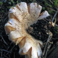 0807-081410-highwindlakecamp-119