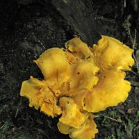 0807-081410-highwindlakecamp-169