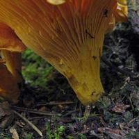 0807-081410-highwindlakecamp-171