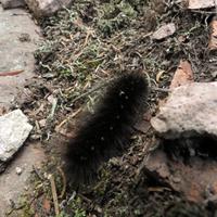 0815-081914-NorthShoreHiking-137
