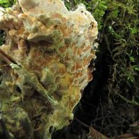 0815-081914-NorthShoreHiking-161