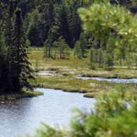 0815-081914-NorthShoreHiking-250