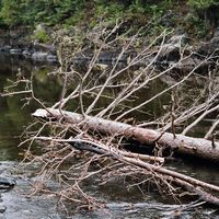 090307-SLR-centennialpark-015