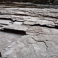 090307-SLR-centennialpark-028