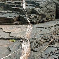 090307-SLR-centennialpark-030