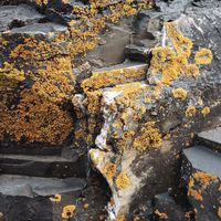 090307-SLR-centennialpark-031