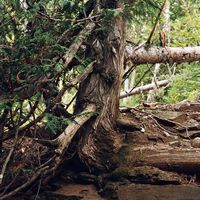 090307-SLR-centennialpark-036