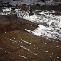 090307-SLR-centennialpark-043