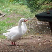 090307-SLR-centennialpark-053