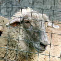 090307-SLR-centennialpark-074