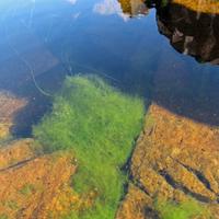090511-grandmarais-041