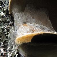 090514-centennialpark-054