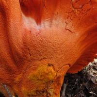 090520-CentennialPark-096