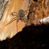 090526-CentennialPark-041