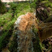090526-CentennialPark-083