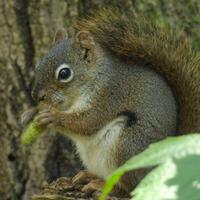 090526-CentennialPark-087