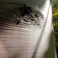 091823-CentennialPark-012