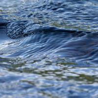 091823-CentennialPark-108
