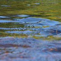 091823-CentennialPark-121