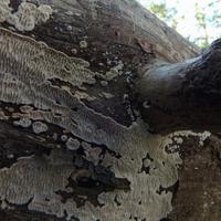 091823-CentennialPark-132