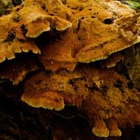 092126-LakeAgnes-003