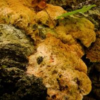 092126-LakeAgnes-007