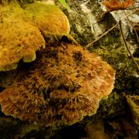 092126-LakeAgnes-008