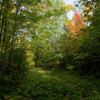 092126-LakeAgnes-010