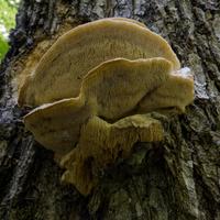 092126-LakeAgnes-074