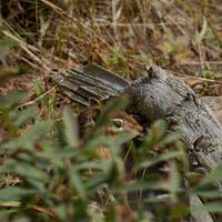 092126-LakeAgnes-078