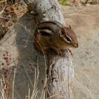 092126-LakeAgnes-084