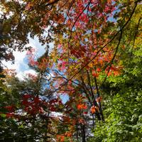 092126-LakeAgnes-094