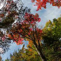 092126-LakeAgnes-095
