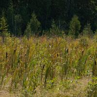 092126-LakeAgnes-108