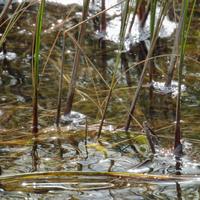 092126-LakeAgnes-116