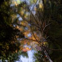 092126-LakeAgnes-120