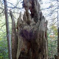 092126-LakeAgnes-122