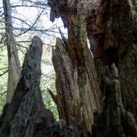 092126-LakeAgnes-124