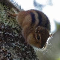 092126-LakeAgnes-132