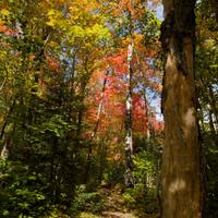 092126-LakeAgnes-134