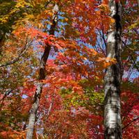 092126-LakeAgnes-135