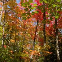 092126-LakeAgnes-136